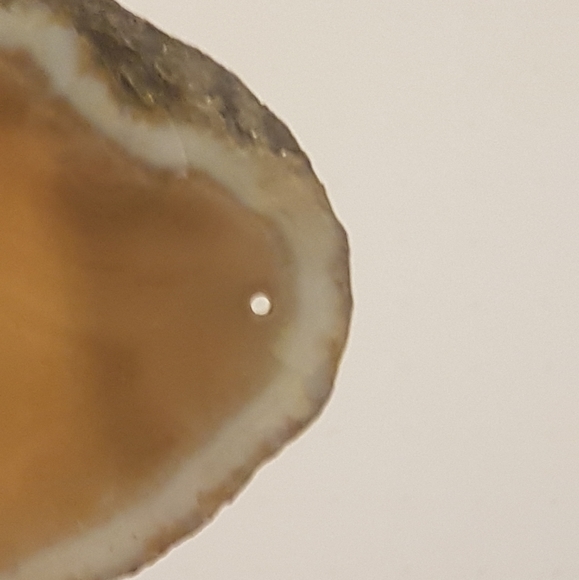 Agate Slices - Picture 17 of 17